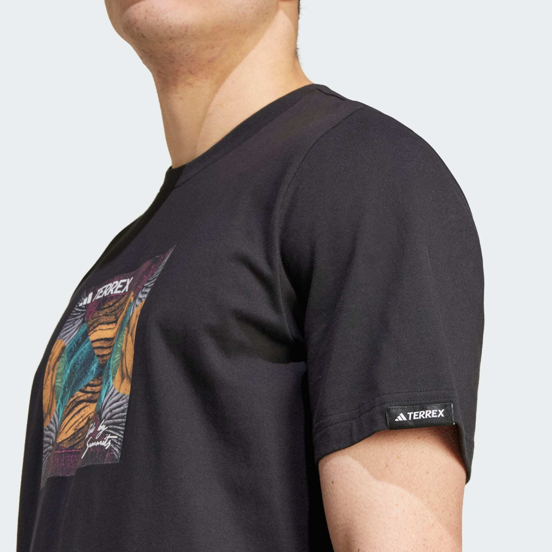 T-Shirt adidas Terrex Graphic United By Summits