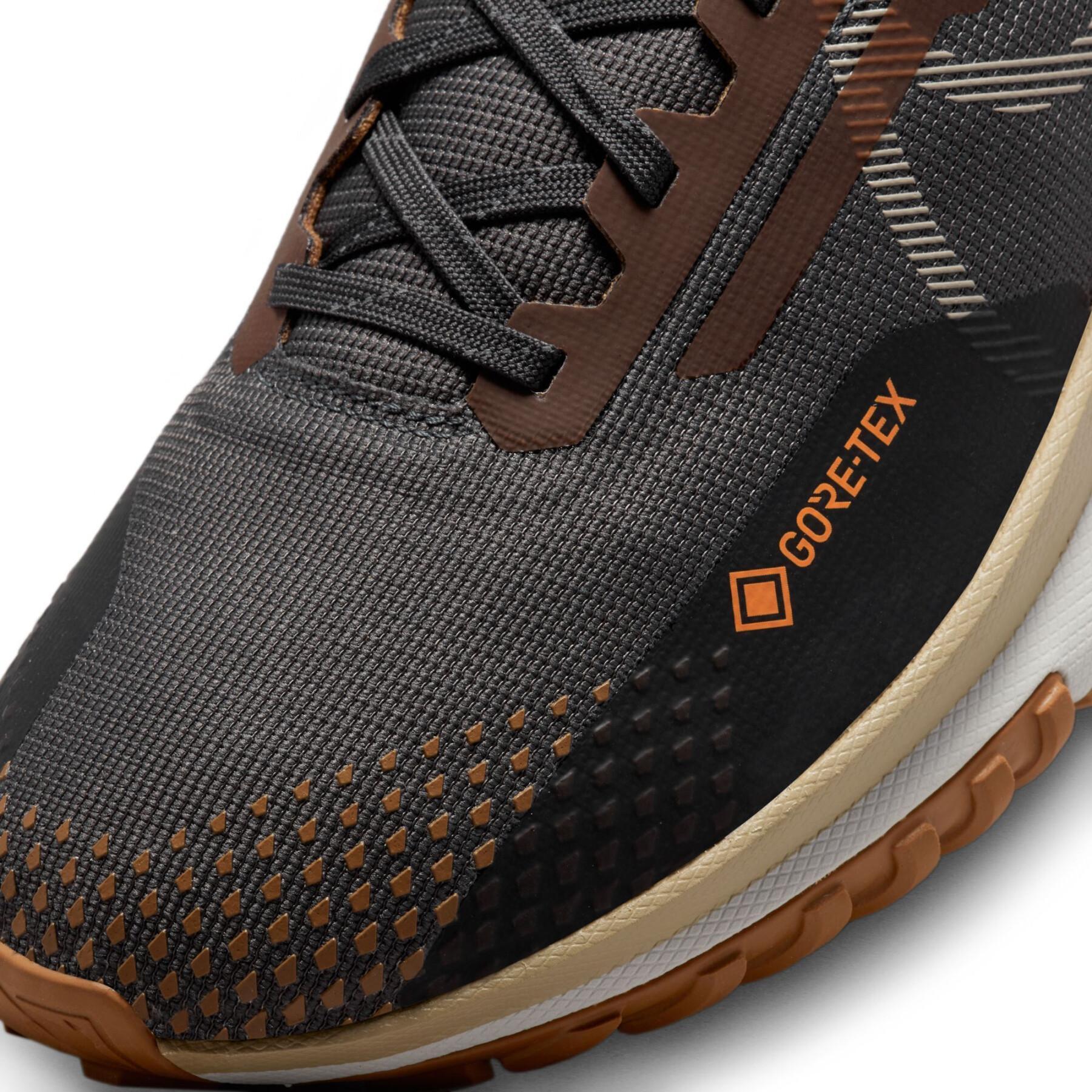 Schuhe von trail Nike Pegasus Trail 4 GORE-TEX