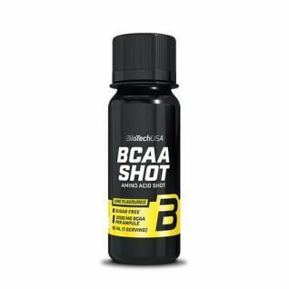 20er Pack Ampullen mit Aminosäuren Biotech USA bcaa shot - Lime
