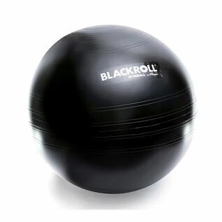 Gym ball Blackroll 65