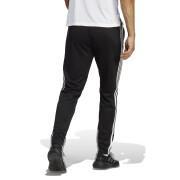 Jogging adidas 3-Stripes Essentials