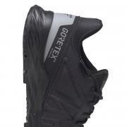 Schuhe Reebok Astroride Trail GTX 2.0